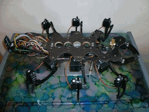 hexapod robot 02